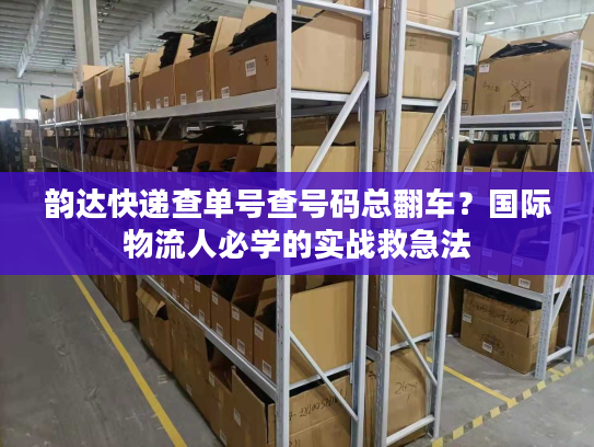 韵达快递查单号查号码总翻车？国际物流人必学的实战救急法