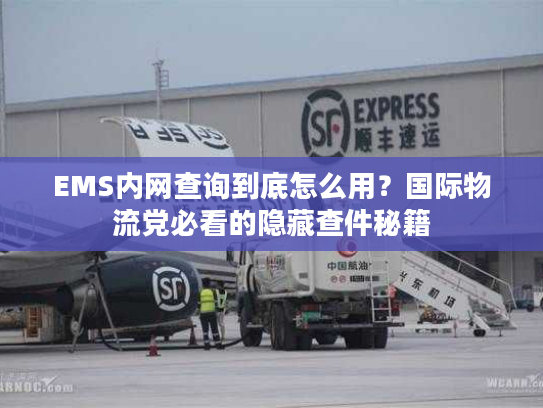 EMS内网查询到底怎么用?国际物流党必看的隐藏查件秘籍 EMS内网查询到底怎么用?国际物流党必看的隐藏查件秘籍