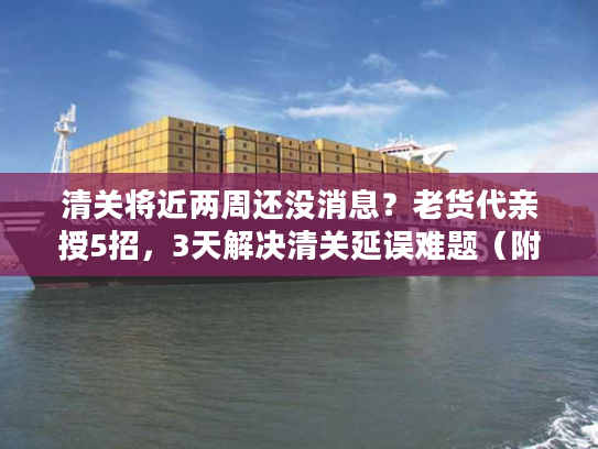 清关将近两周还没消息？老货代亲授5招，3天解决清关延误难题（附2025最新政策）