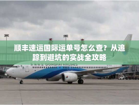 顺丰速运国际运单号怎么查?从追踪到避坑的实战全攻略 顺丰速运国际运单号怎么查?从追踪到避坑的实战全攻略