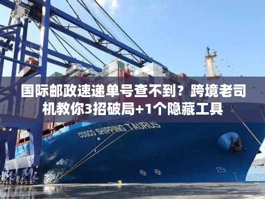 国际邮政速递单号查不到？跨境老司机教你3招破局+1个隐藏工具