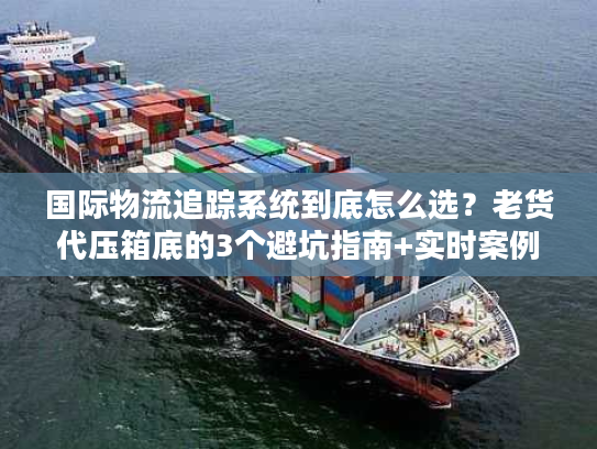 国际物流追踪系统到底怎么选？老货代压箱底的3个避坑指南+实时案例
