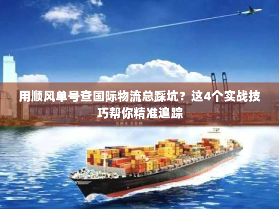 用顺风单号查国际物流总踩坑？这4个实战技巧帮你精准追踪