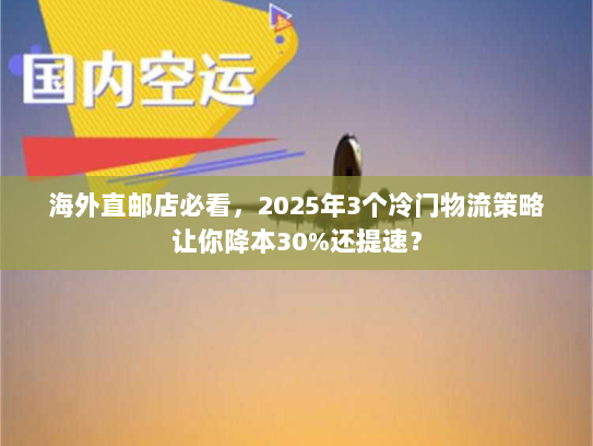 海外直邮店必看，2025年3个冷门物流策略让你降本30%还提速？