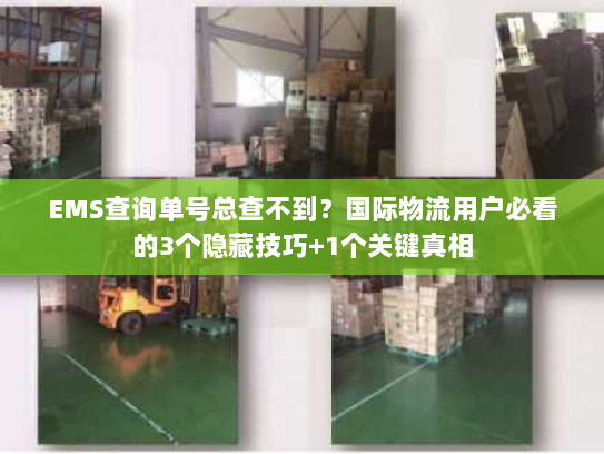 EMS查询单号总查不到？国际物流用户必看的3个隐藏技巧+1个关键真相