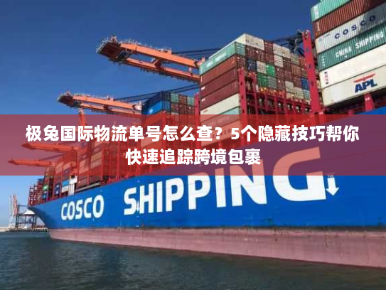 极兔国际物流单号怎么查？5个隐藏技巧帮你快速追踪跨境包裹