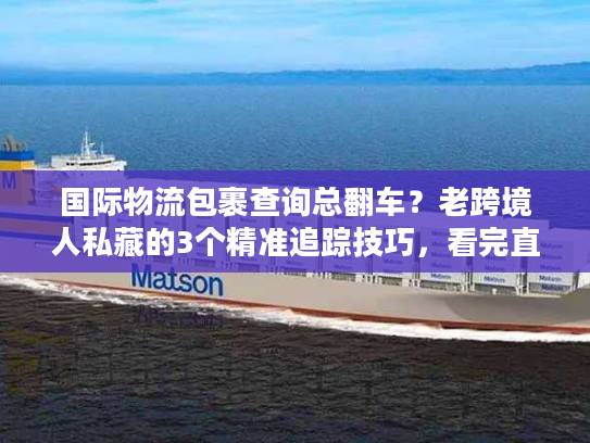 国际物流包裹查询总翻车？老跨境人私藏的3个精准追踪技巧，看完直接用