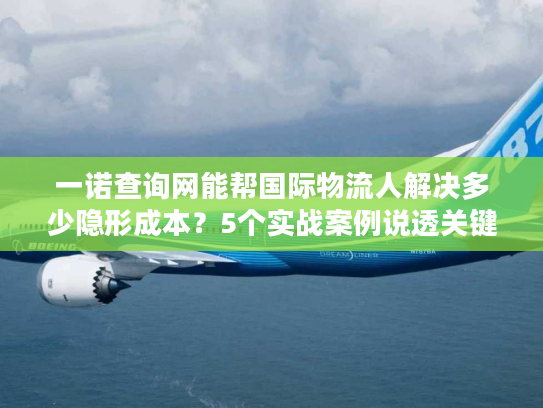 一诺查询网能帮国际物流人解决多少隐形成本?5个实战案例说透关键 一诺查询网能帮国际物流人解决多少隐形成本?5个实战案例说透关键