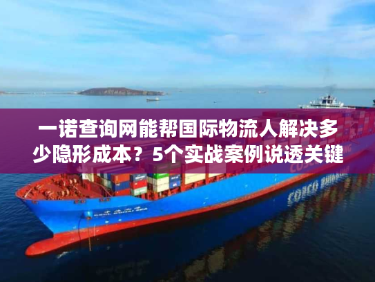 一诺查询网能帮国际物流人解决多少隐形成本?5个实战案例说透关键 一诺查询网能帮国际物流人解决多少隐形成本?5个实战案例说透关键
