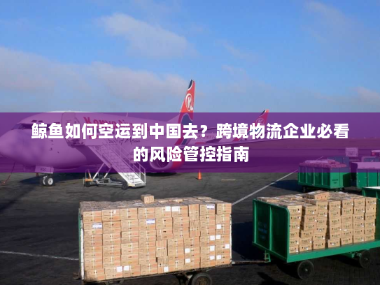 鲸鱼如何空运到中国去?跨境物流企业必看的风险管控指南 鲸鱼如何空运到中国去?跨境物流企业必看的风险管控指南