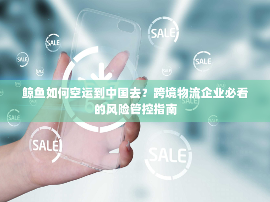 鲸鱼如何空运到中国去?跨境物流企业必看的风险管控指南 鲸鱼如何空运到中国去?跨境物流企业必看的风险管控指南