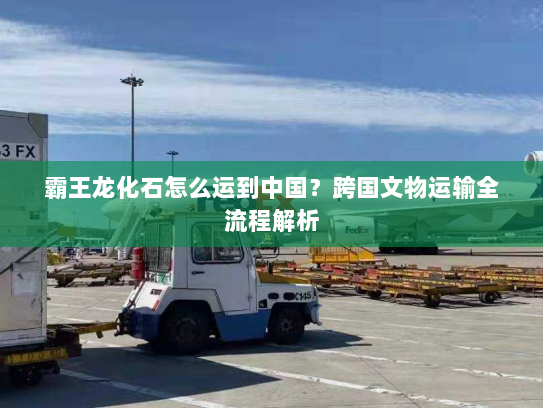 霸王龙化石怎么运到中国?跨国文物运输全流程解析 霸王龙化石怎么运到中国?跨国文物运输全流程解析