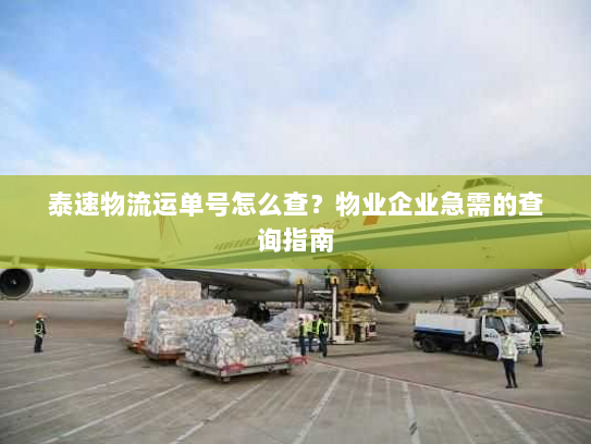泰速物流运单号怎么查？物业企业急需的查询指南