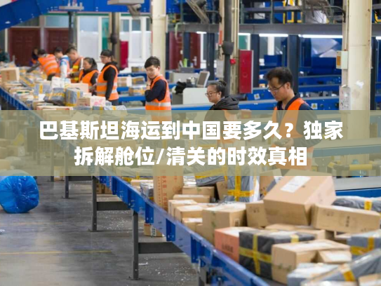 巴基斯坦海运到中国要多久？独家拆解舱位/清关的时效真相