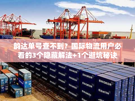 韵达单号查不到？国际物流用户必看的3个隐藏解法+1个避坑秘诀