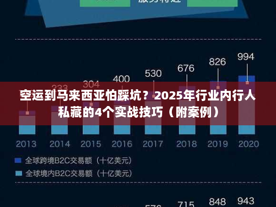 空运到马来西亚怕踩坑？2025年行业内行人私藏的4个实战技巧（附案例）