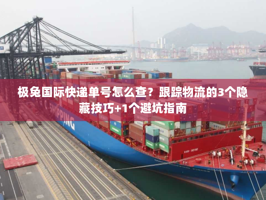 极兔国际快递单号怎么查？跟踪物流的3个隐藏技巧+1个避坑指南