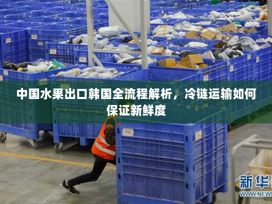 中国水果出口韩国全流程解析,冷链运输如何保证新鲜度 中国水果出口韩国全流程解析,冷链运输如何保证新鲜度