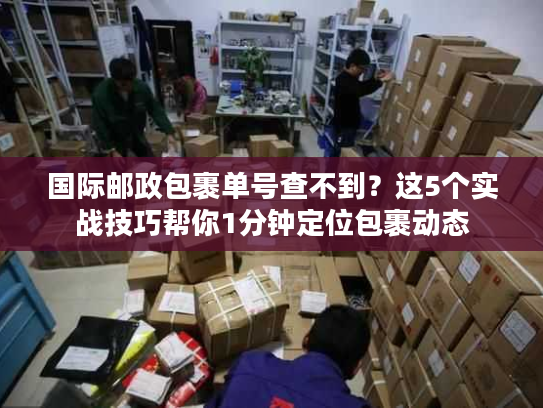 国际邮政包裹单号查不到？这5个实战技巧帮你1分钟定位包裹动态