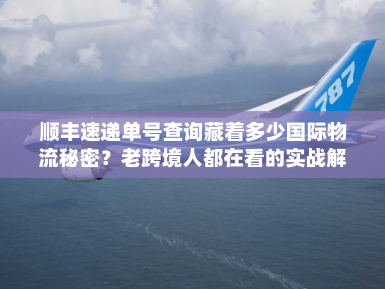顺丰速递单号查询藏着多少国际物流秘密？老跨境人都在看的实战解密