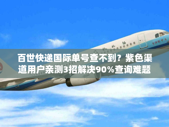 百世快递国际单号查不到？紫色渠道用户亲测3招解决90%查询难题