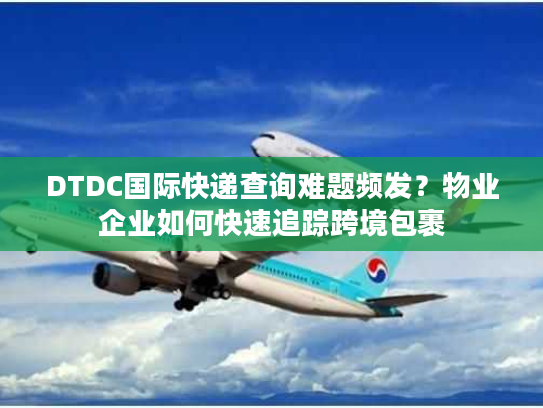 DTDC国际快递查询难题频发？物业企业如何快速追踪跨境包裹