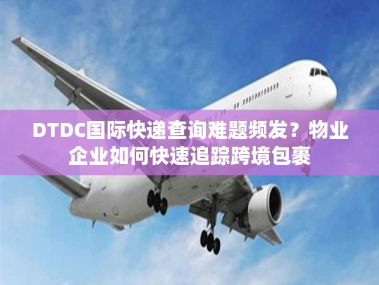 DTDC国际快递查询难题频发？物业企业如何快速追踪跨境包裹