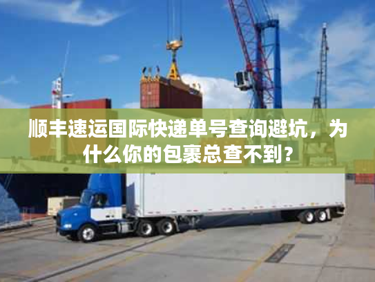 顺丰速运国际快递单号查询避坑，为什么你的包裹总查不到？