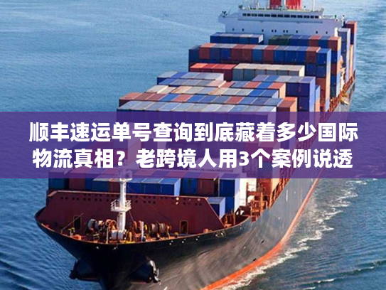 顺丰速运单号查询到底藏着多少国际物流真相？老跨境人用3个案例说透