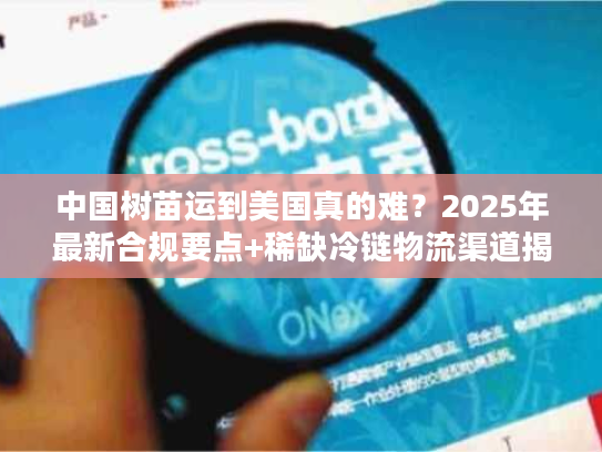 中国树苗运到美国真的难？2025年最新合规要点+稀缺冷链物流渠道揭秘