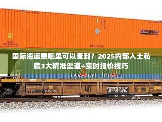 国际海运费哪里可以查到？2025内部人士私藏3大精准渠道+实时报价技巧