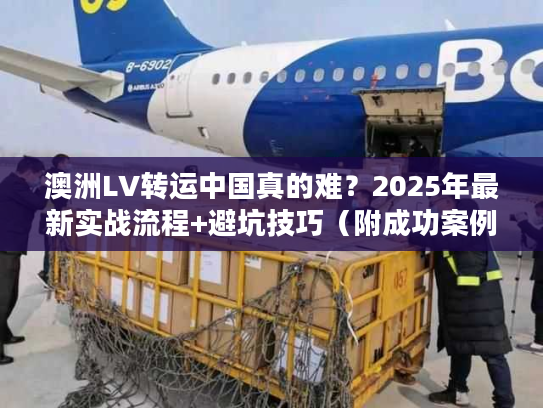 澳洲LV转运中国真的难？2025年最新实战流程+避坑技巧（附成功案例）