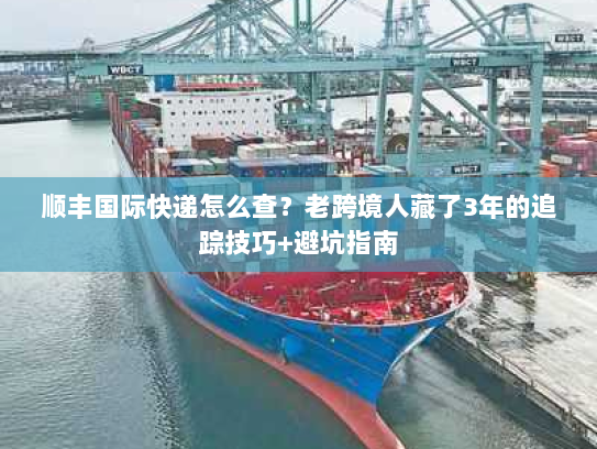 顺丰国际快递怎么查？老跨境人藏了3年的追踪技巧+避坑指南