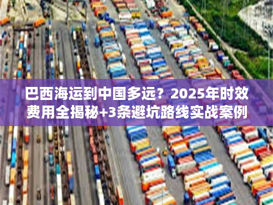 巴西海运到中国多远？2025年时效费用全揭秘+3条避坑路线实战案例
