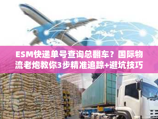ESM快递单号查询总翻车？国际物流老炮教你3步精准追踪+避坑技巧