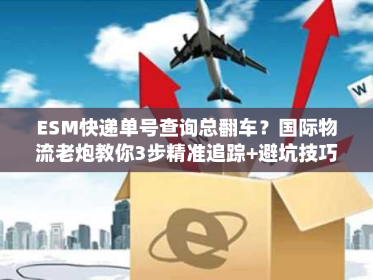 ESM快递单号查询总翻车？国际物流老炮教你3步精准追踪+避坑技巧