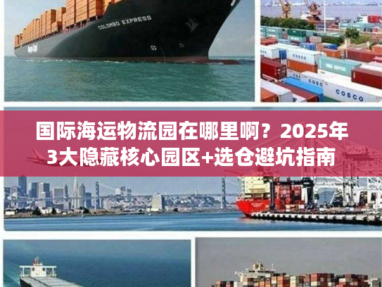 国际海运物流园在哪里啊？2025年3大隐藏核心园区+选仓避坑指南