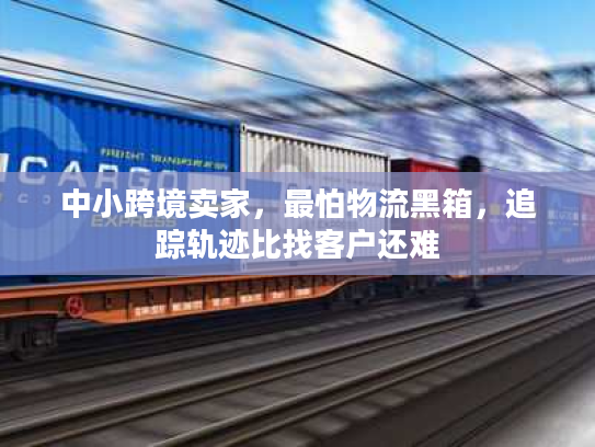 中小跨境卖家，最怕物流黑箱，追踪轨迹比找客户还难