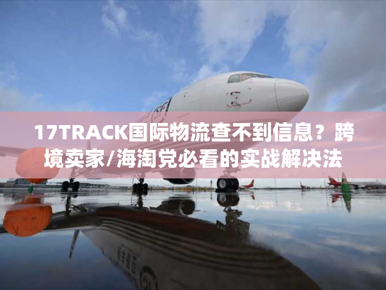 17TRACK国际物流查不到信息？跨境卖家/海淘党必看的实战解决法