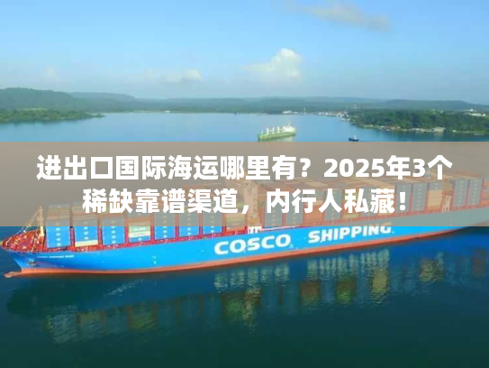 进出口国际海运哪里有？2025年3个稀缺靠谱渠道，内行人私藏！