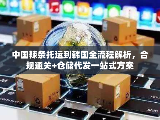中国辣条托运到韩国全流程解析，合规通关+仓储代发一站式方案