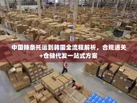 中国辣条托运到韩国全流程解析,合规通关+仓储代发一站式方案 中国辣条托运到韩国全流程解析,合规通关+仓储代发一站式方案