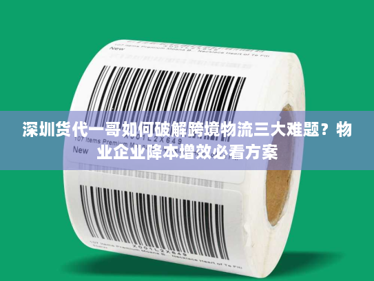 深圳货代一哥如何破解跨境物流三大难题?物业企业降本增效必看方案 深圳货代一哥如何破解跨境物流三大难题?物业企业降本增效必看方案