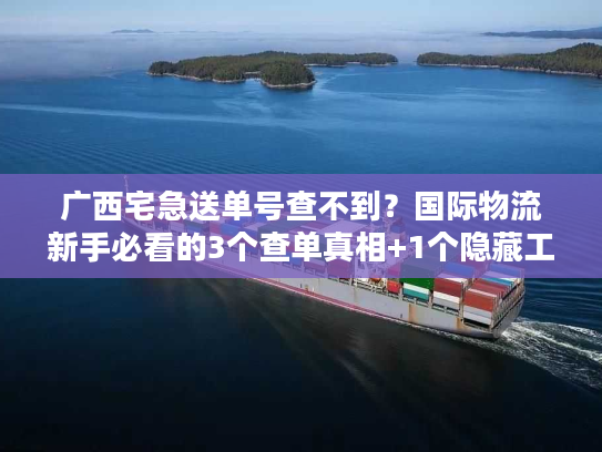 广西宅急送单号查不到？国际物流新手必看的3个查单真相+1个隐藏工具