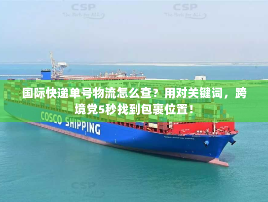 国际快递单号物流怎么查？用对关键词，跨境党5秒找到包裹位置！