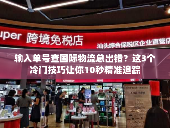 输入单号查国际物流总出错?这3个冷门技巧让你10秒精准追踪 输入单号查国际物流总出错?这3个冷门技巧让你10秒精准追踪