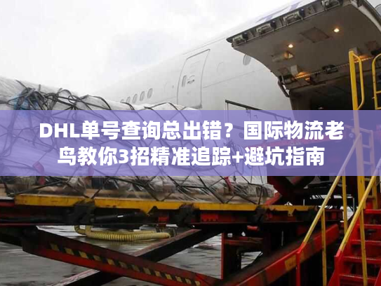 DHL单号查询总出错?国际物流老鸟教你3招精准追踪+避坑指南 DHL单号查询总出错?国际物流老鸟教你3招精准追踪+避坑指南