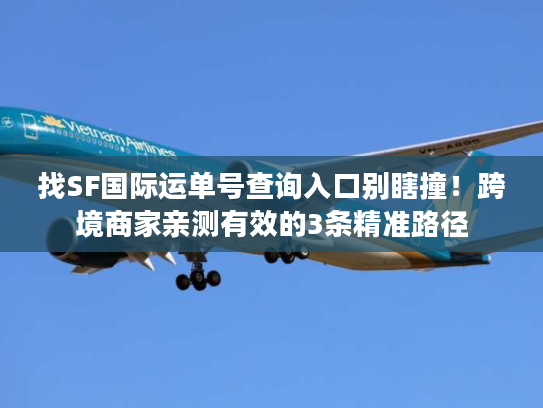 找SF国际运单号查询入口别瞎撞！跨境商家亲测有效的3条精准路径