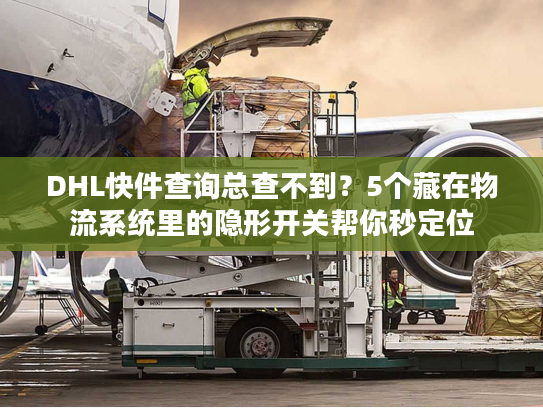 DHL快件查询总查不到？5个藏在物流系统里的隐形开关帮你秒定位