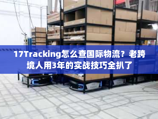 17Tracking怎么查国际物流？老跨境人用3年的实战技巧全扒了